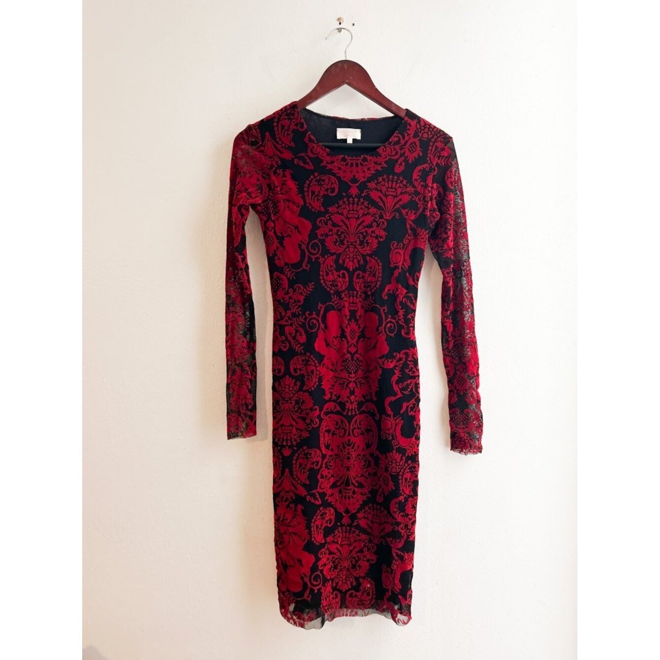 Y2K Petite Pois Mesh Burnout Velvet Damask Long Sleeve Dress