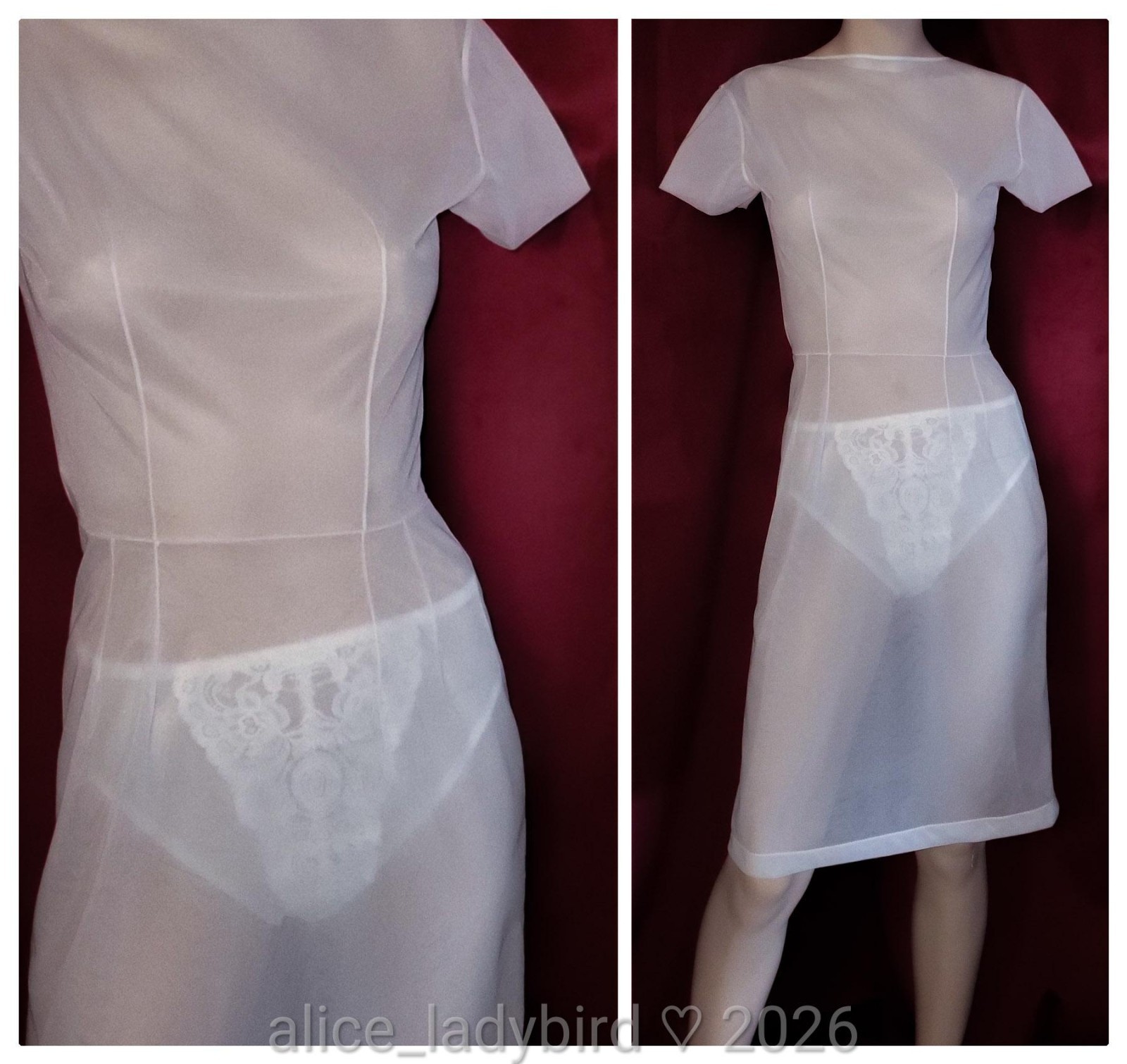 RARE Vintage 60s SHEER Chiffon DRESS Blouse Top Nylon Knee-length Skirt xs 32