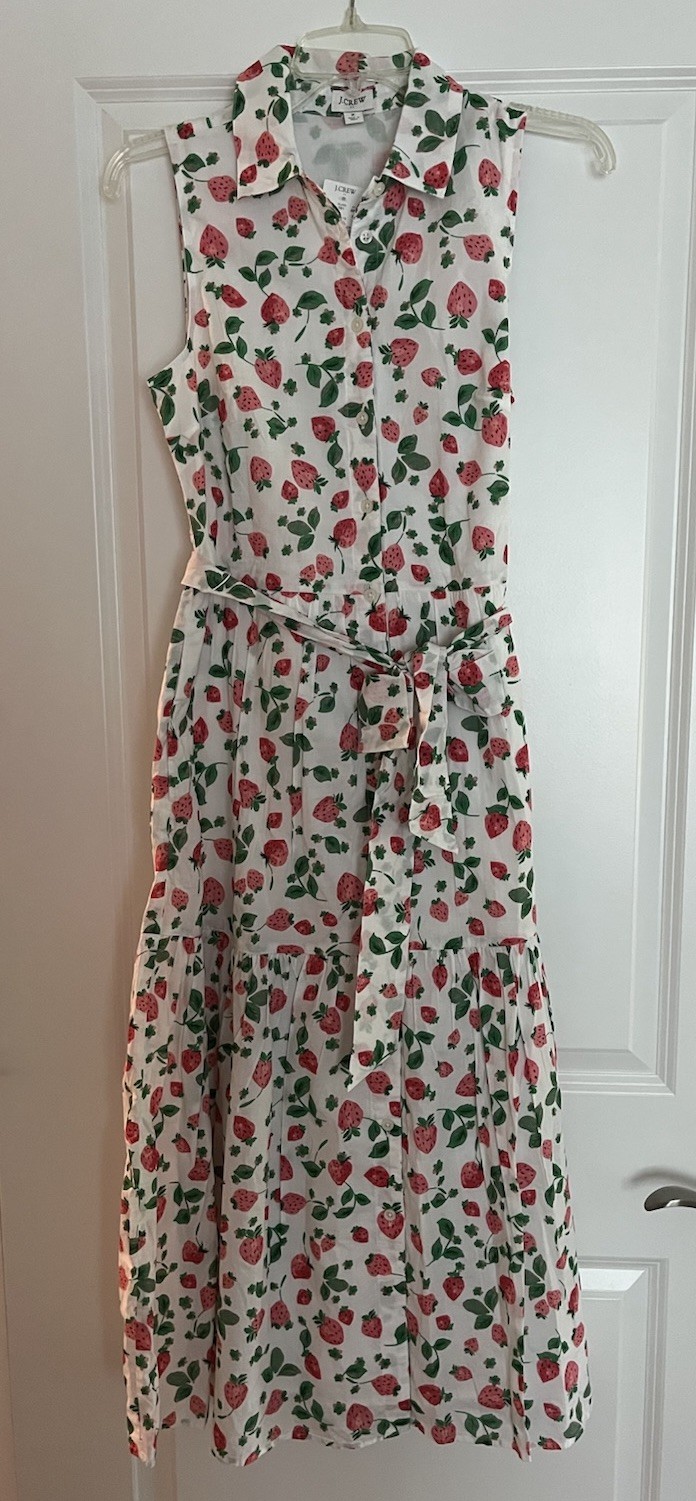 NWT J Crew Size 2 Strawberry Print Collared Midi Dress Pockets Lined Buttons