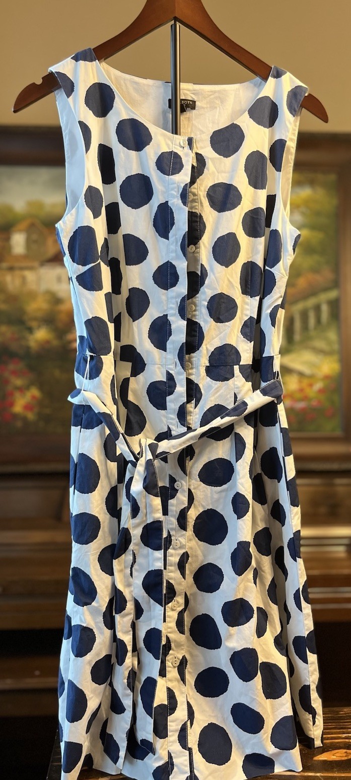 Talbots Petites 10P Blue/White Polka Dot Sheath Dress Sleeveless Belted Zip