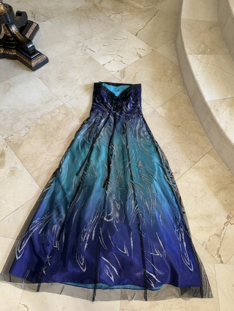 Prom, wedding, sparkle, long, never worn.