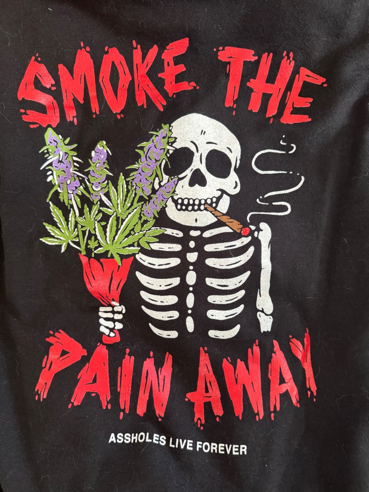 A**holes Live Forever Hoodie – Smoke the Pain Away – Small