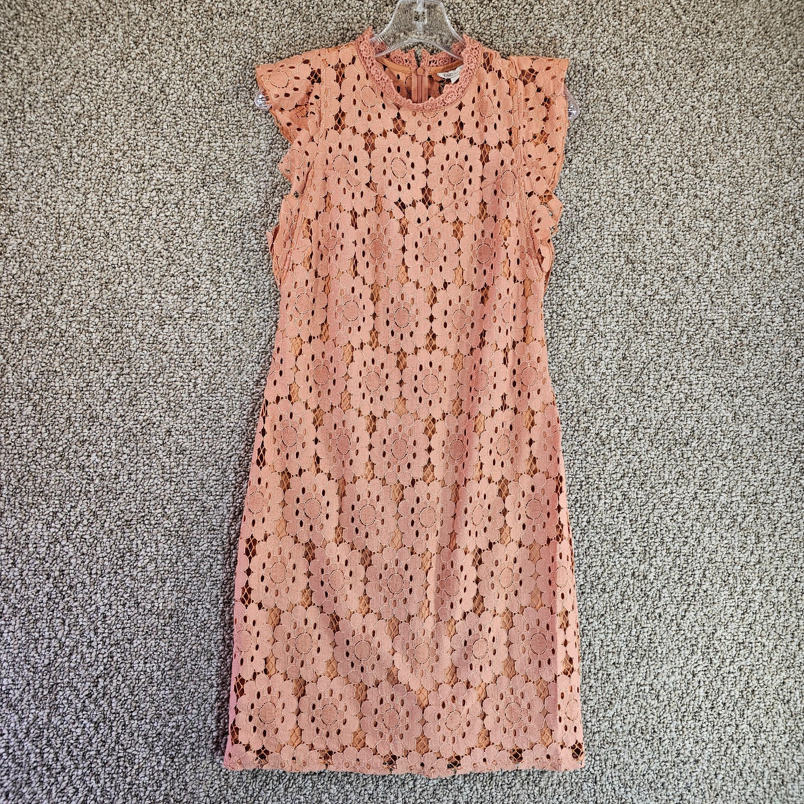Cato Lace Dress Womens Sz 6 Sleeveless Rear Zip Pullover