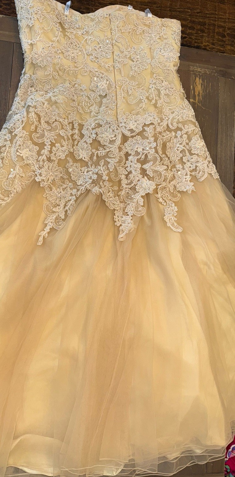 Stunning Ivonne D Beaded Lace Mother of the Bride Gown Set Champagne Sz 16