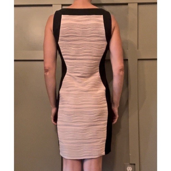 Calvin Klein Career Workwear Dress Black & Nude Textured Panel Size 4
