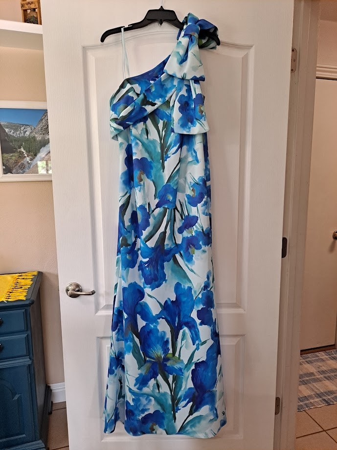 Adrianna Papell Blue Floral Printed Scuba Gown Size 10
