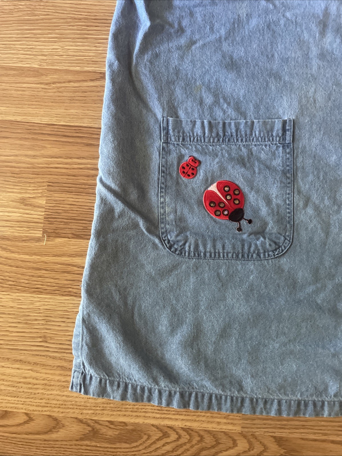 Las Olas Lady Bug Dress. Pull Over. Size 1X. Length 36 Inches.
