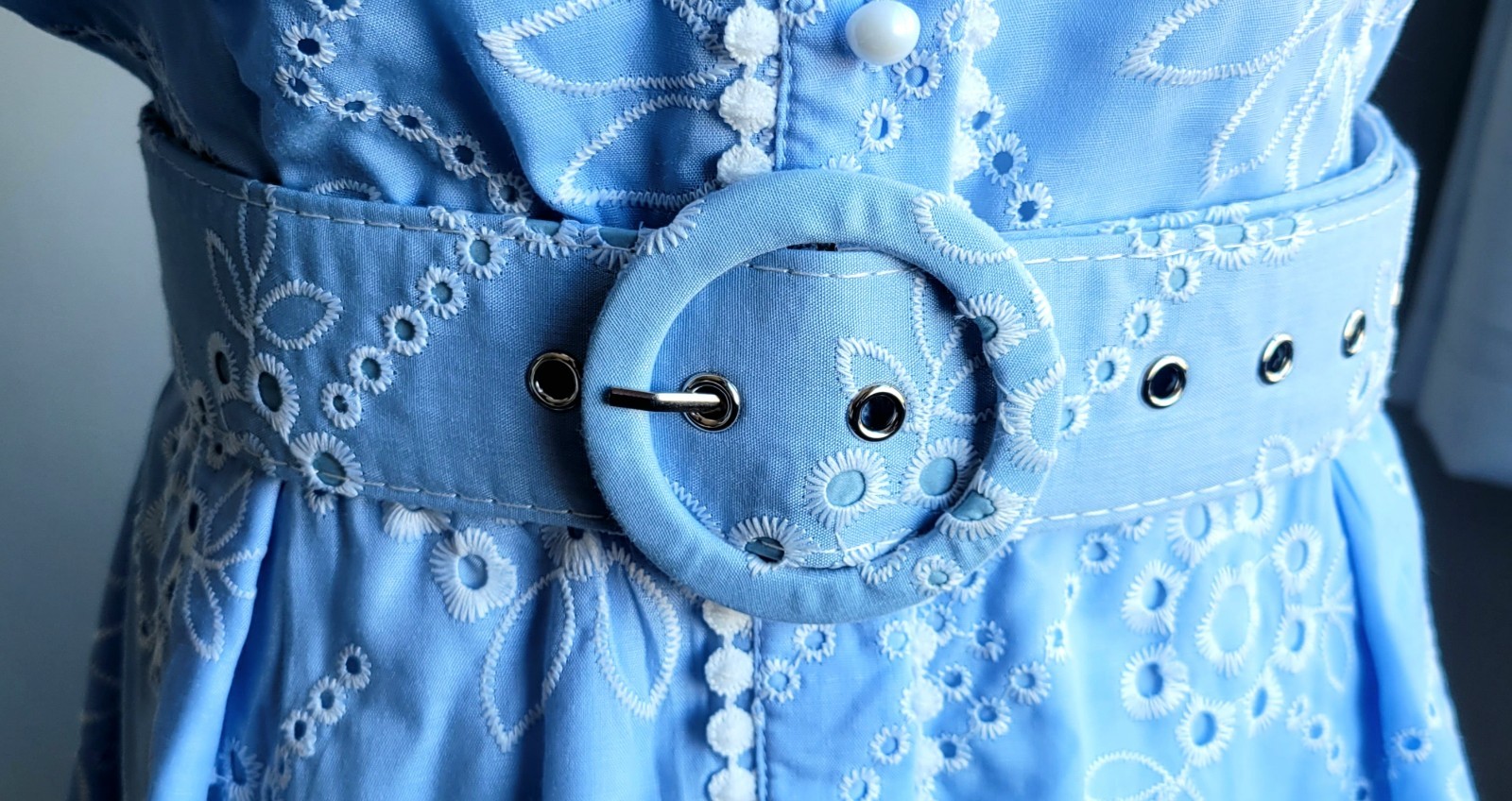 Baby Blue Eyelet Embroidered Dress Puff Sleeve Button Front Belt Cottagecore