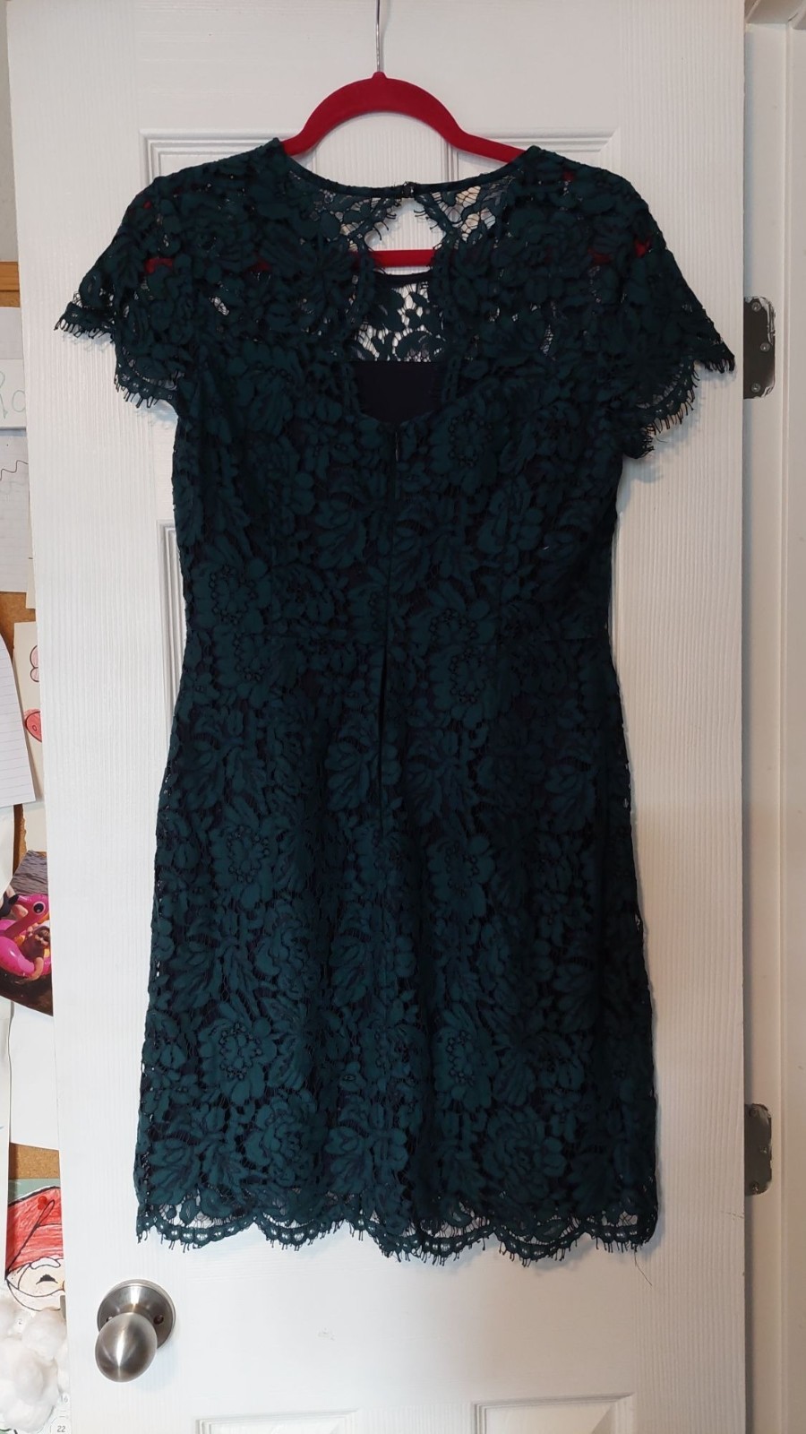 Banana Republic Green Lace Short Sleeve Dress Size 4 Nylon Cotton Lined Scallope