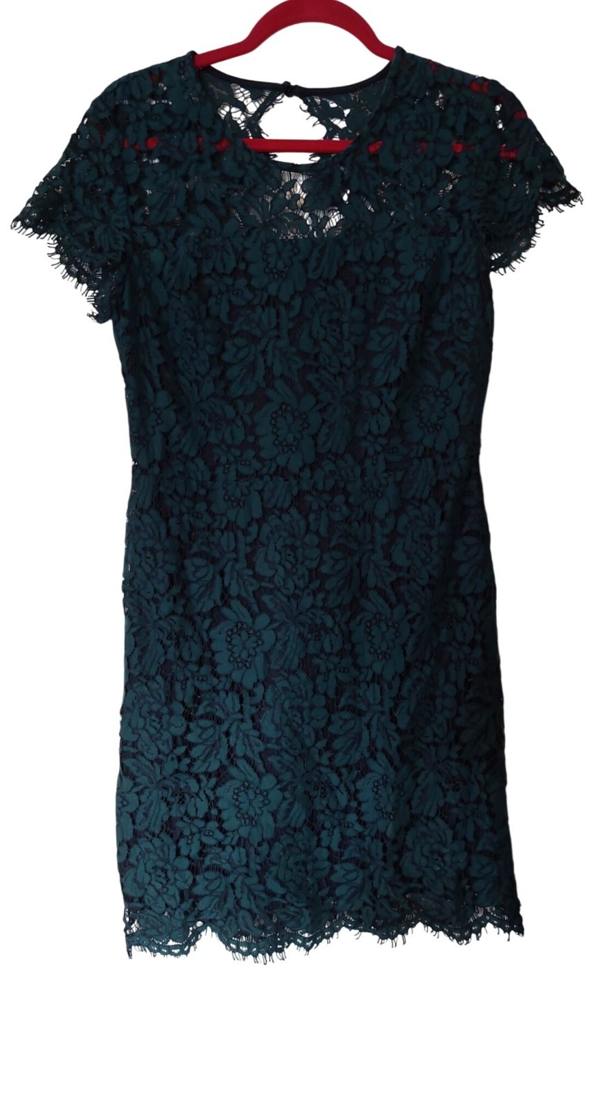 Banana Republic Green Lace Short Sleeve Dress Size 4 Nylon Cotton Lined Scallope