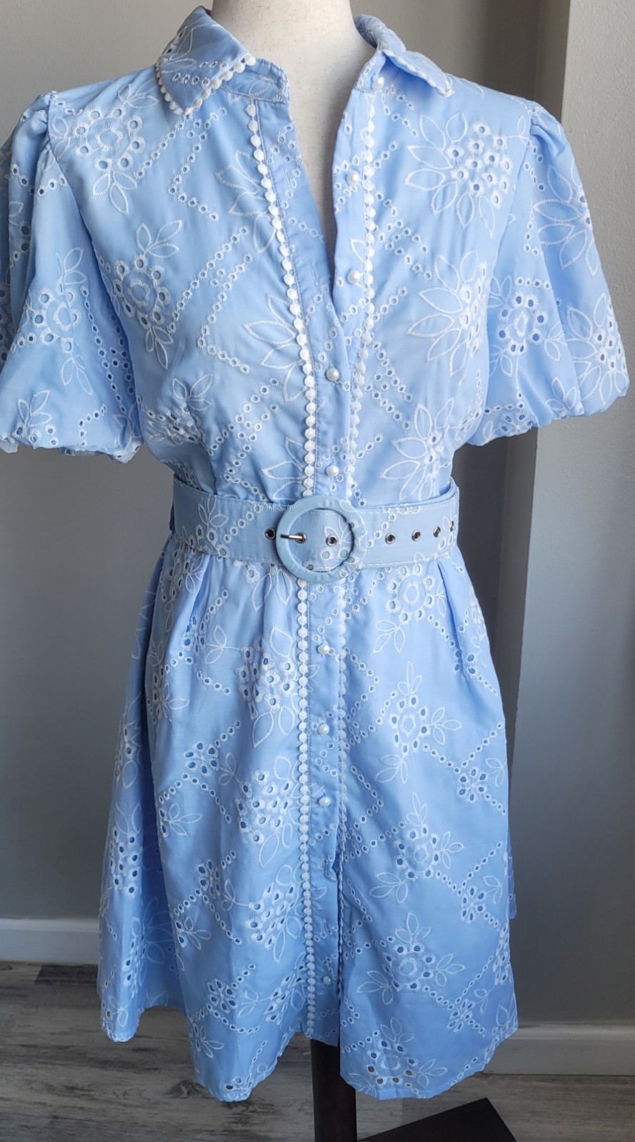 Baby Blue Eyelet Embroidered Dress Puff Sleeve Button Front Belt Cottagecore
