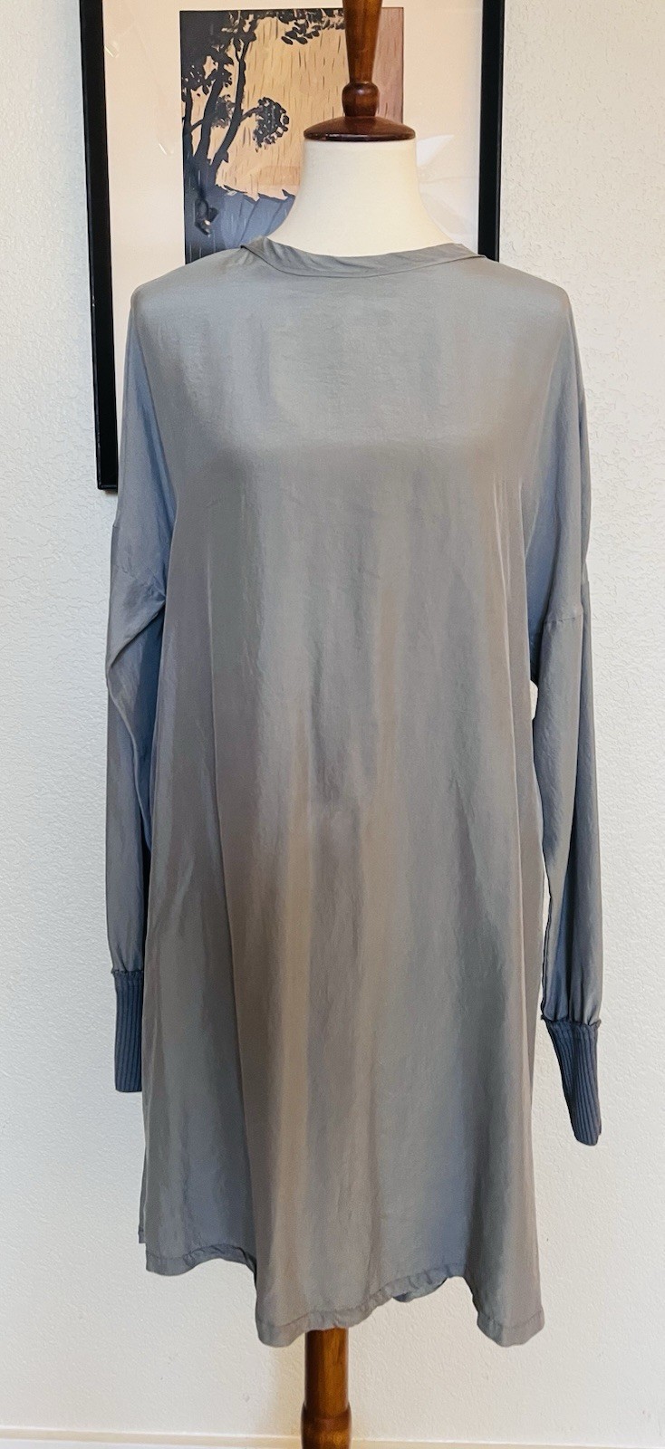 NWT Aequamente Gray/Blue Silk Long Sleeve Dress Size Medium