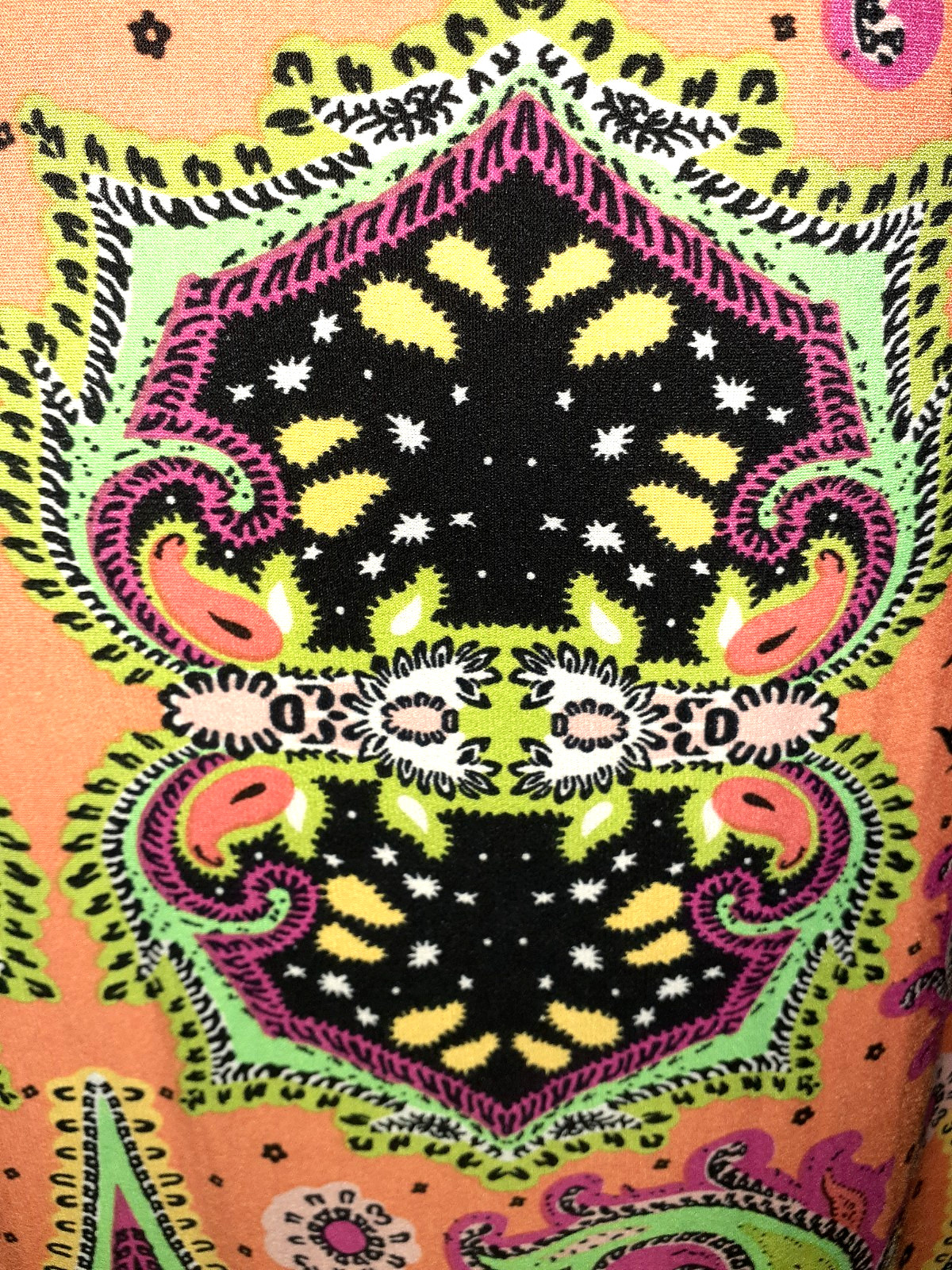 NEW RONNI NICOLE Sz 12 Maxi Dress Black Orange Green Paisley Sleeveless Stretch